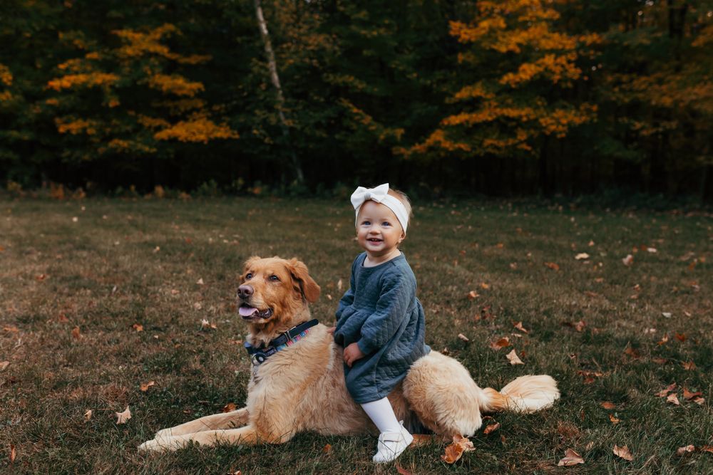 family photography with pets in central wisconsin