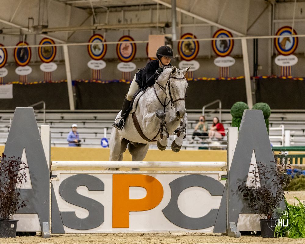 Equestrian rider on a brown horse jumps over a decorative obstacle in an indoor arena with floral arrangements.