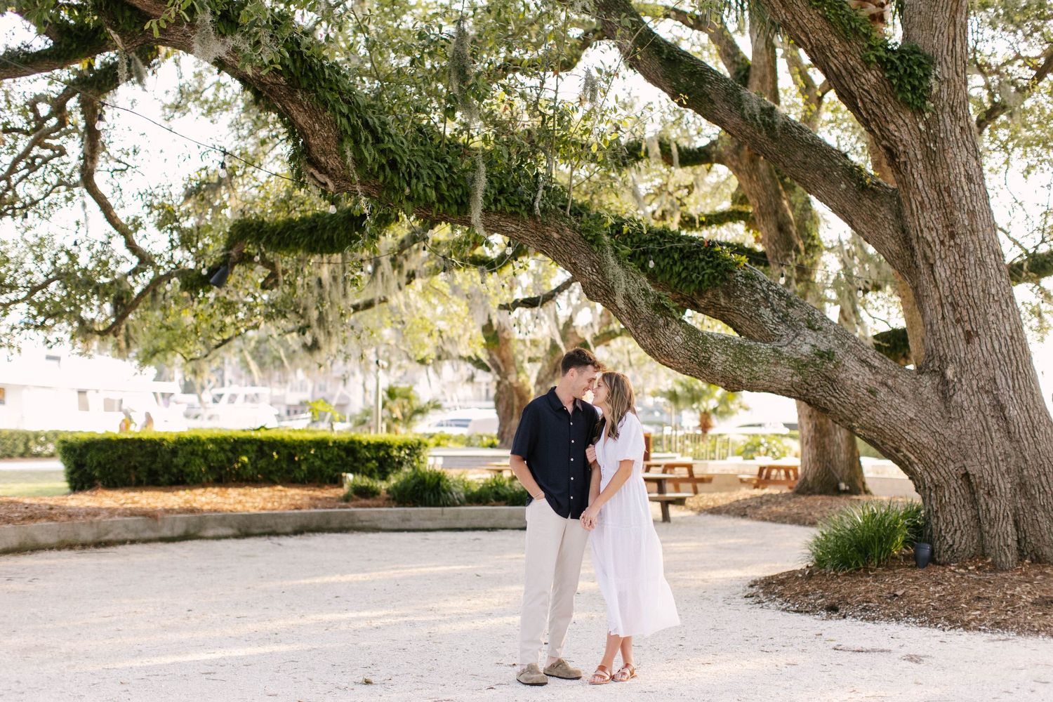 A romantic moment under Spanish moss draped oak trees in a park setting.