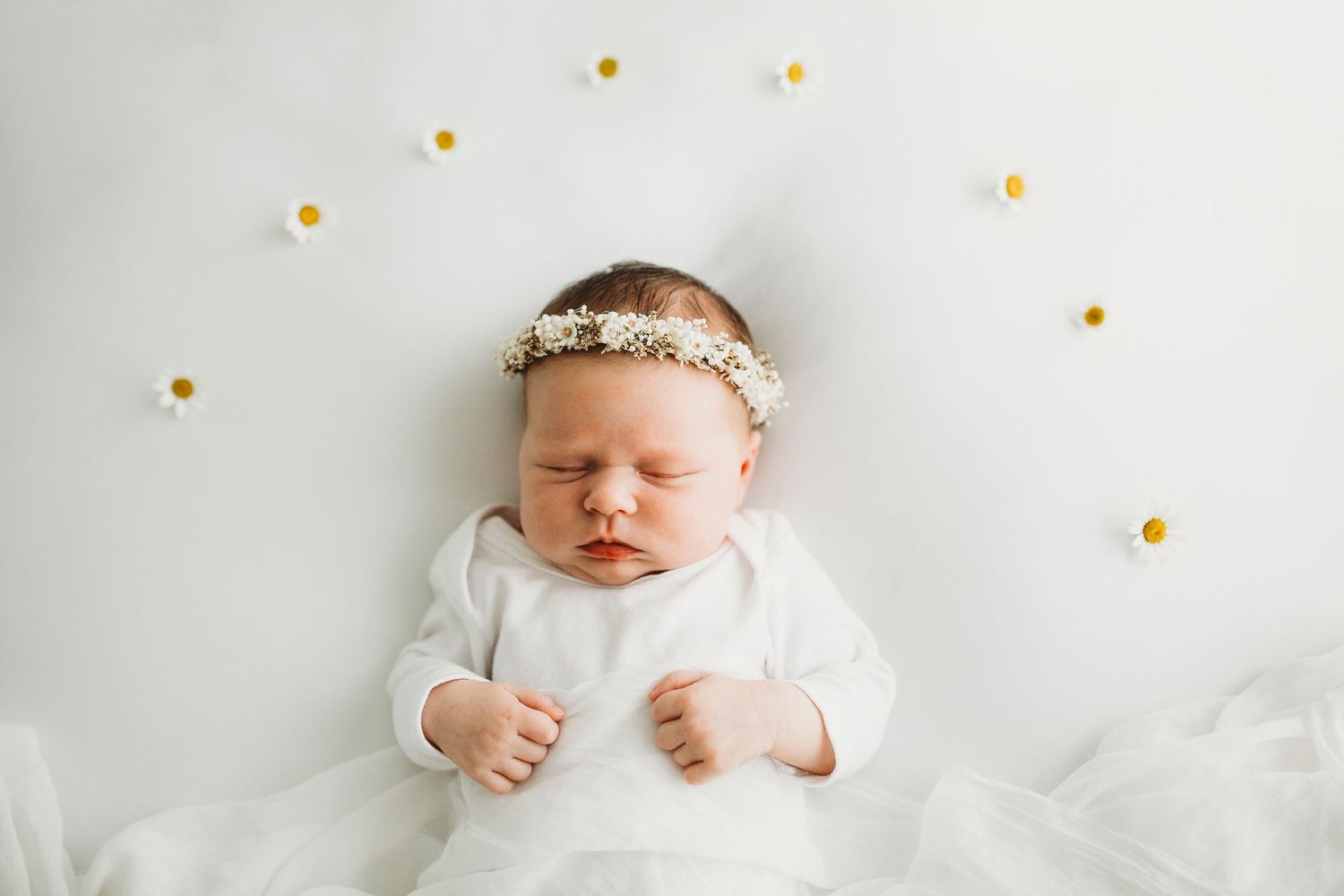 Studio Newborn Baby Family Photographer Casino Lismore Ballina Byron Bay Evans Head NSW Northern Rivers