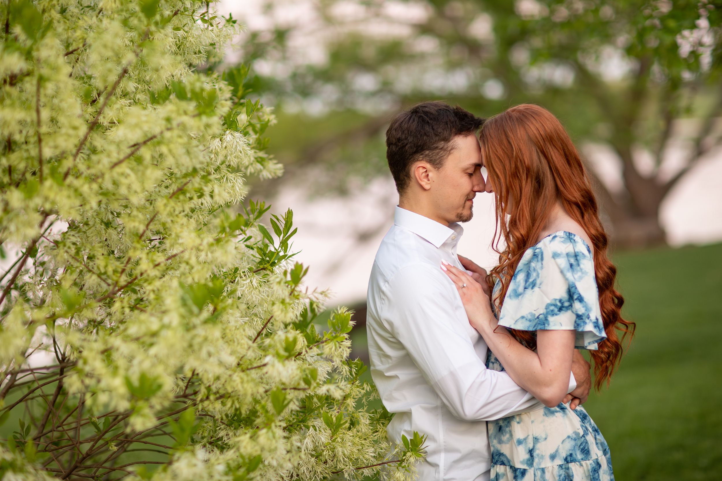 Couple leans in for a kiss beside blooming white spring flowers in romantic engagement photo.