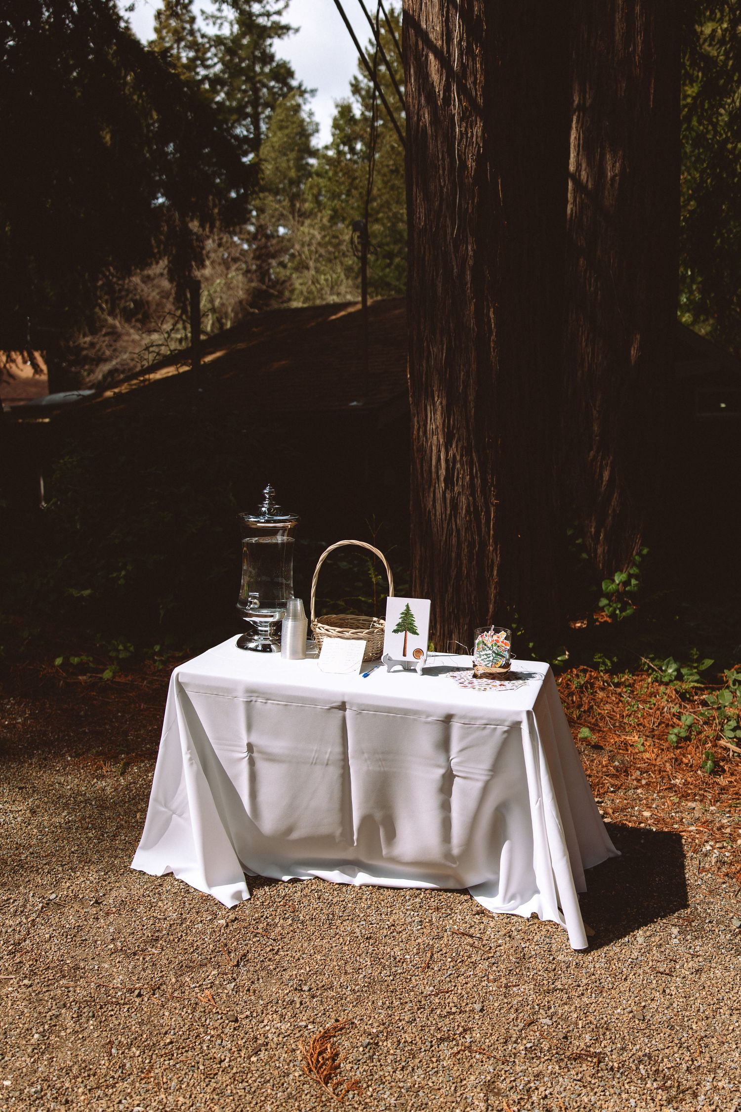 White tablecloth covered tables set up for outdoor dining among redwood trees.