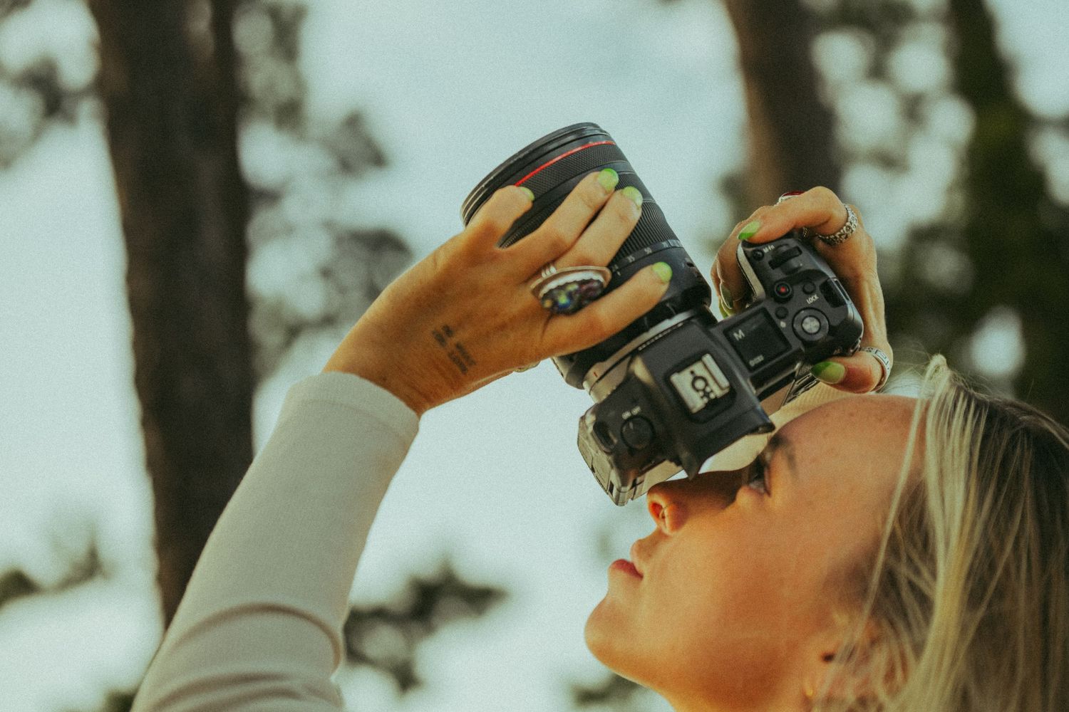 Blonde female photographer shooting upward with DSLR camera among pine trees.