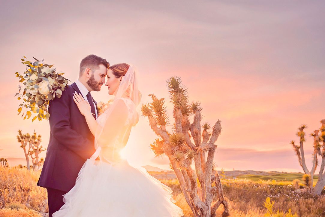 Wedding couple embraces in desert landscape with Joshua trees at sunset creating romantic silhouette.