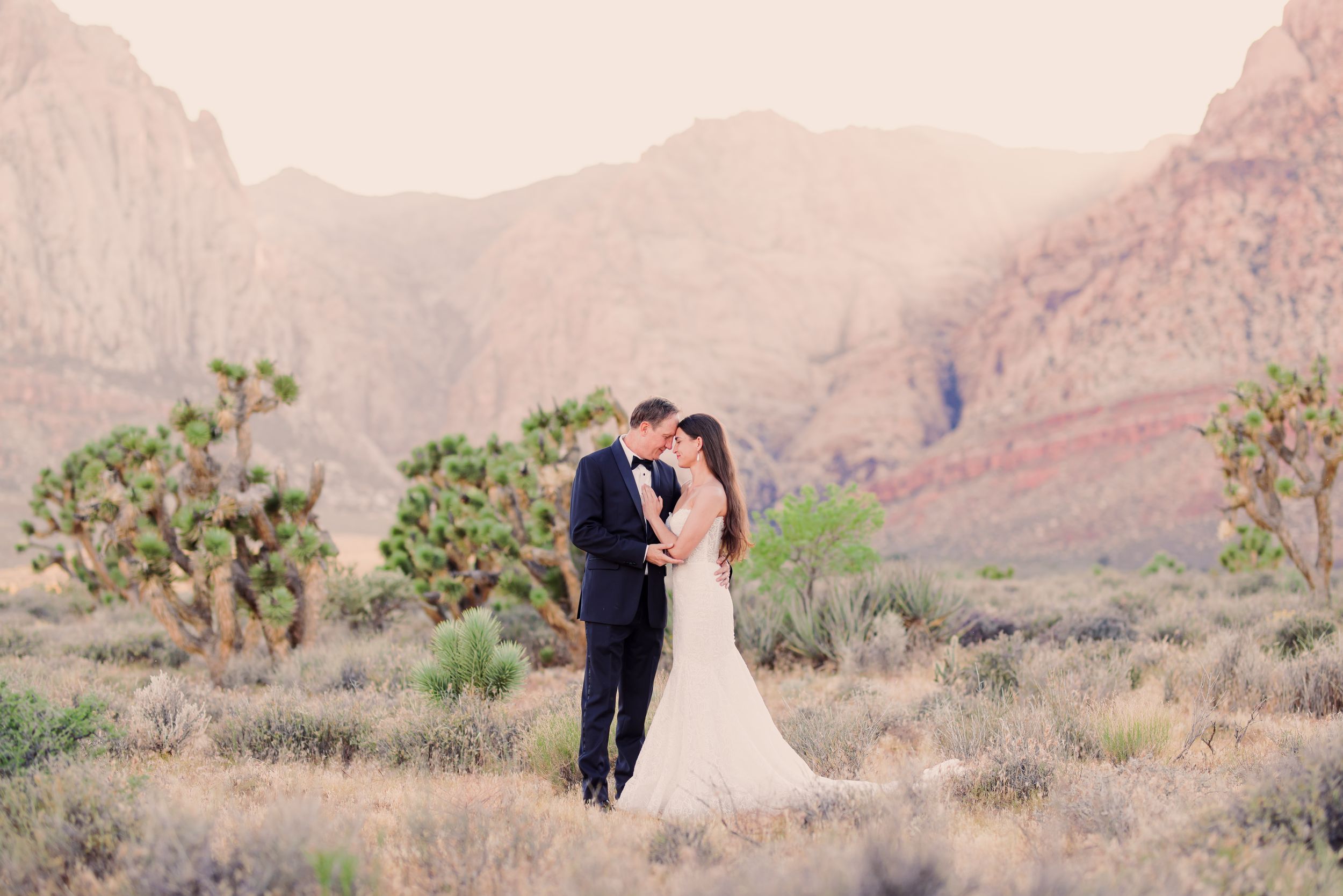 Bride and groom share a romantic kiss in the desert landscape of Red Rock Canyon, Nevada, surrounded by Joshua trees.