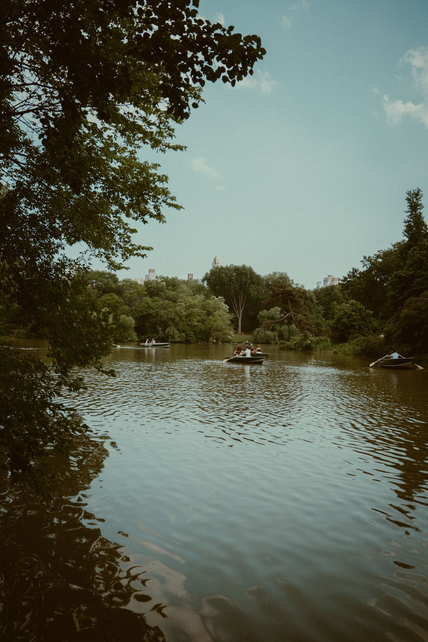 A serene flooded landscape with trees and reflective water stretching into the distance under a blue sky.