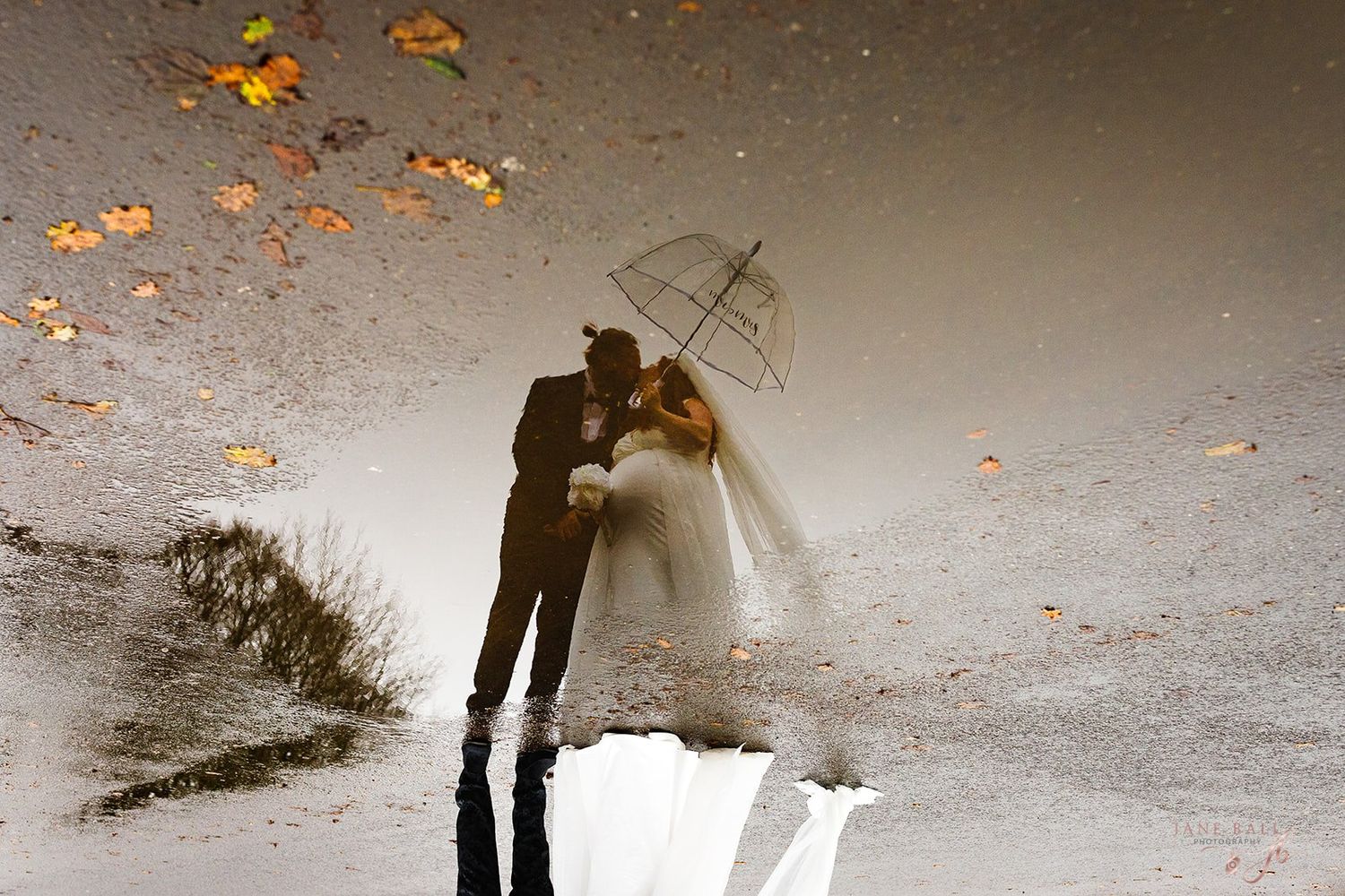 A person in silhouette stands near a misty lake at dawn while autumn leaves fall around them creating a peaceful scene.