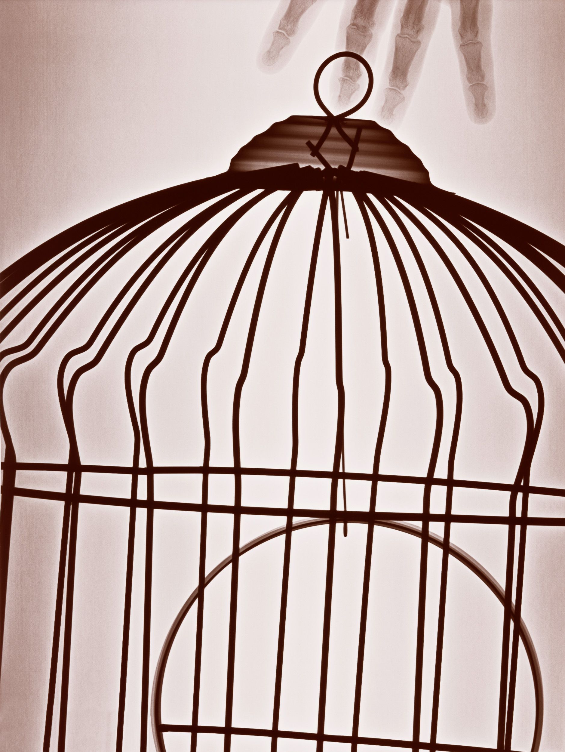 Artistic silhouette of bird cages in a repeating pattern against white background.