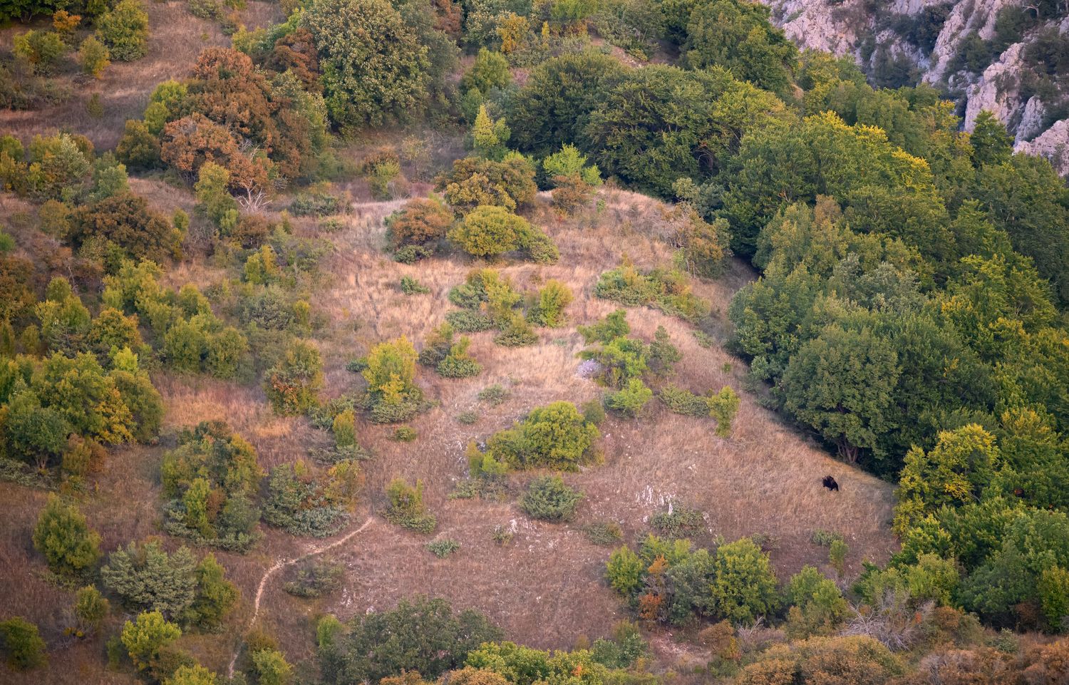 Aerial view of a winding mountain road through autumn foliage and rocky terrain.