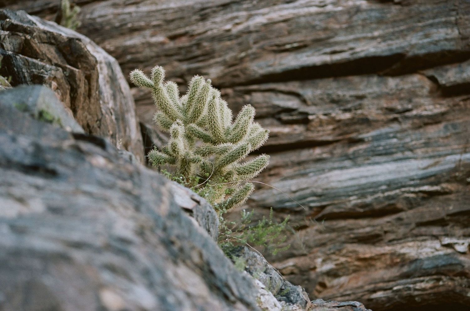 A close-up view of weathered driftwood logs with natural textures and patterns on a beach.