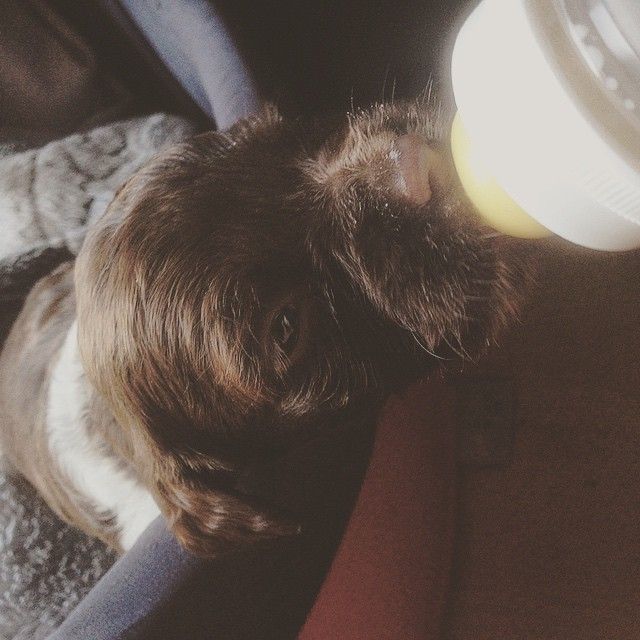 Momento personal con Milko bajo luz natural