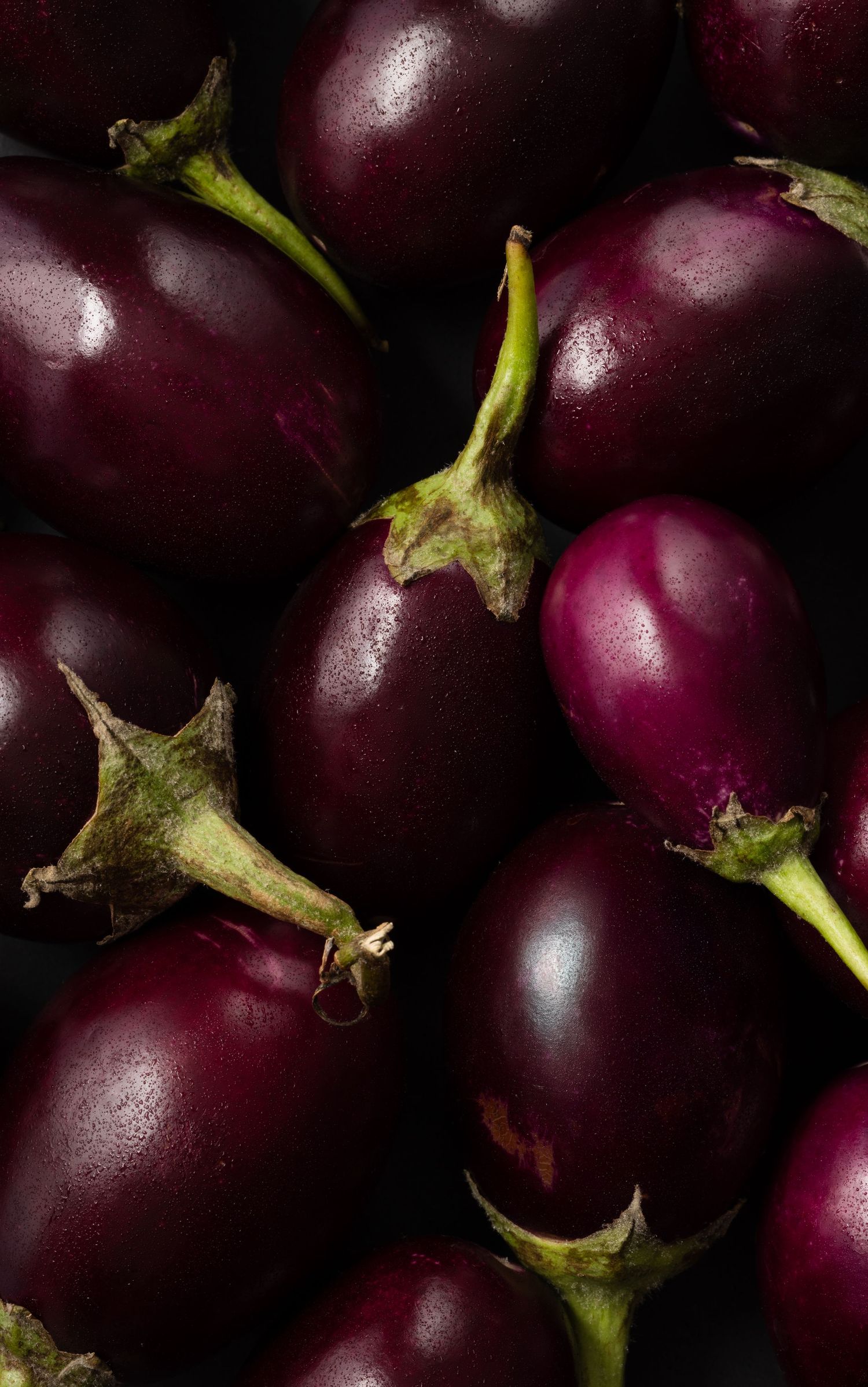 Miniature eggplant, aubergine, macro, moody