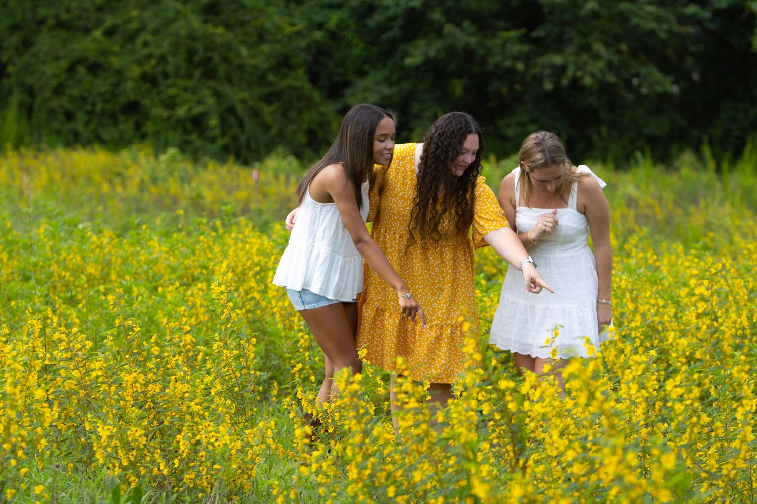 A group enjoys a sunny day in a field of yellow wildflowers during golden hour.