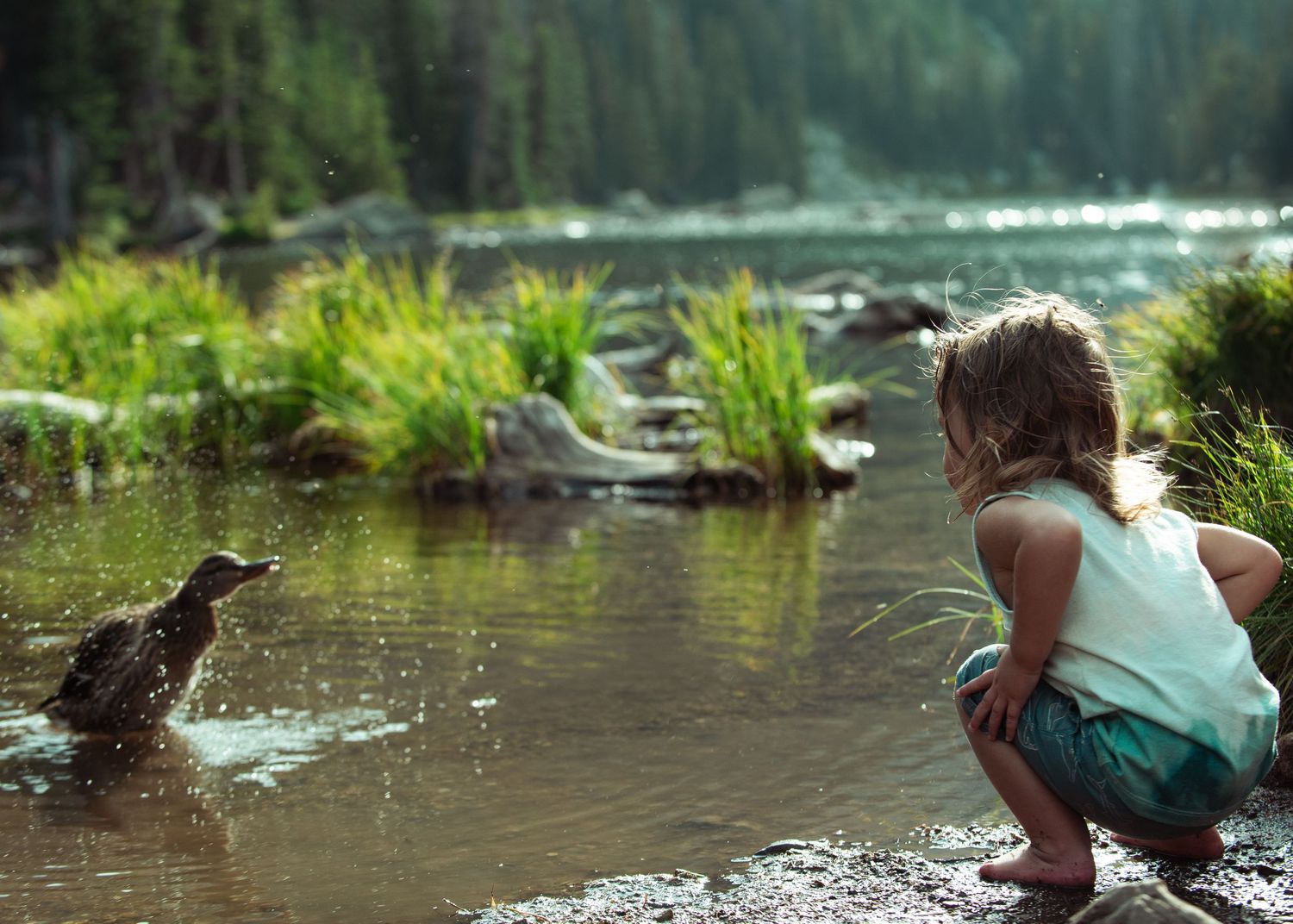 Minnesota Family Cabin Sessions.