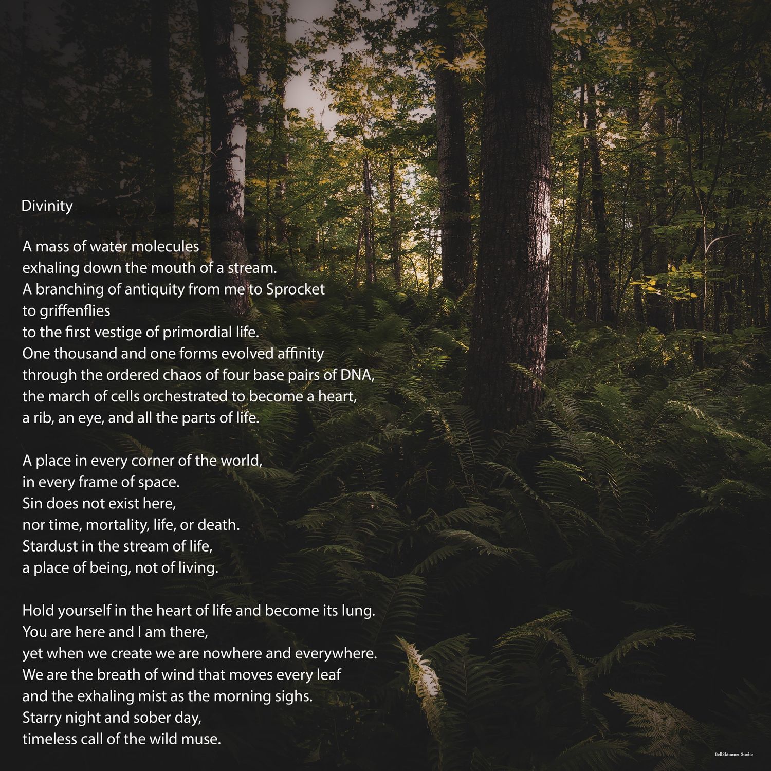 Poem. Divinity.