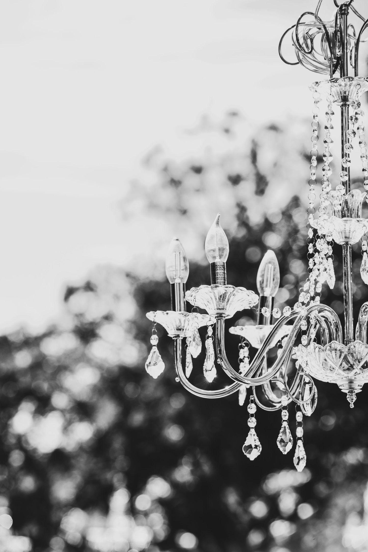Elegant wedding ceremony site with refined décor