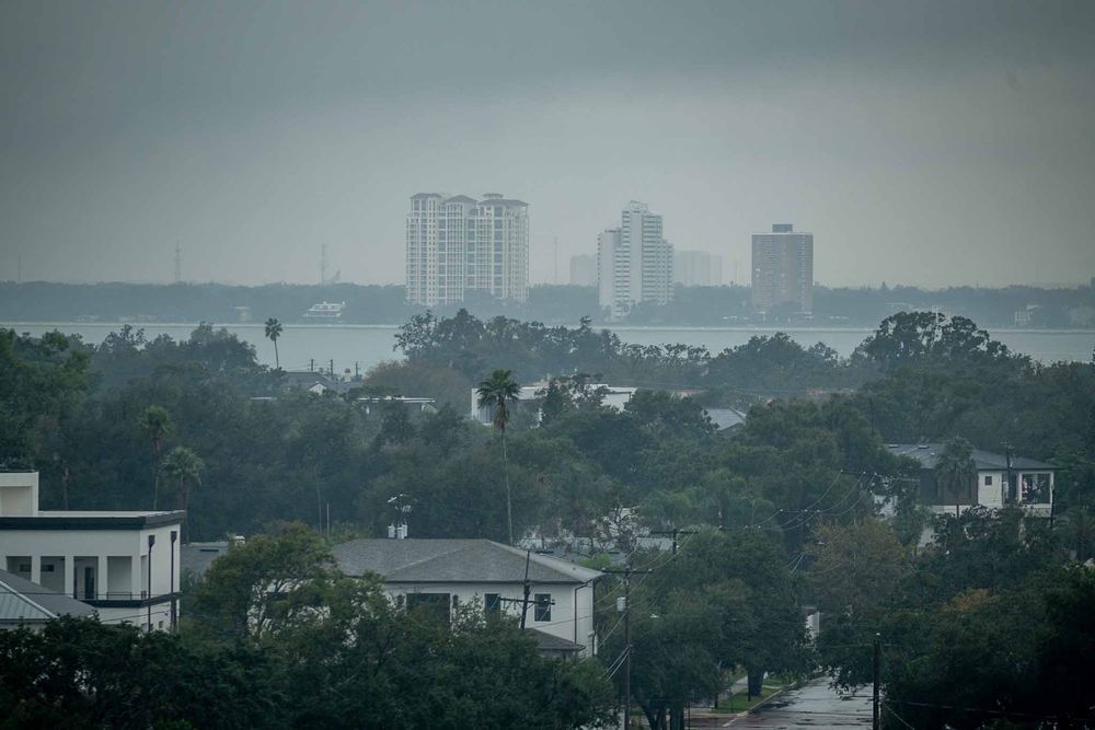Misty cityscape view shows modern buildings and towers emerging through a foggy urban skyline.