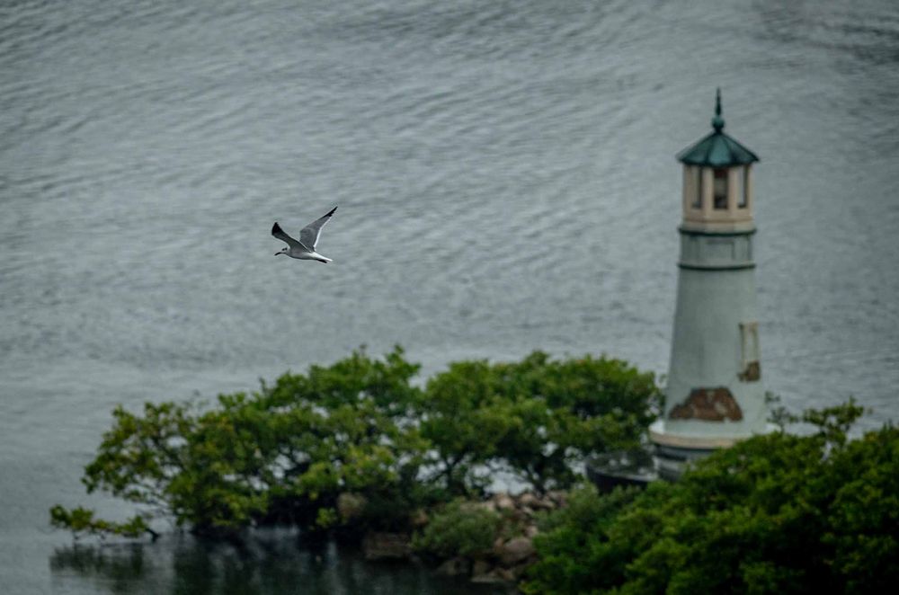 Scenic lighthouse on a rocky coastline with stormy gray waters and green foliage in the foreground.