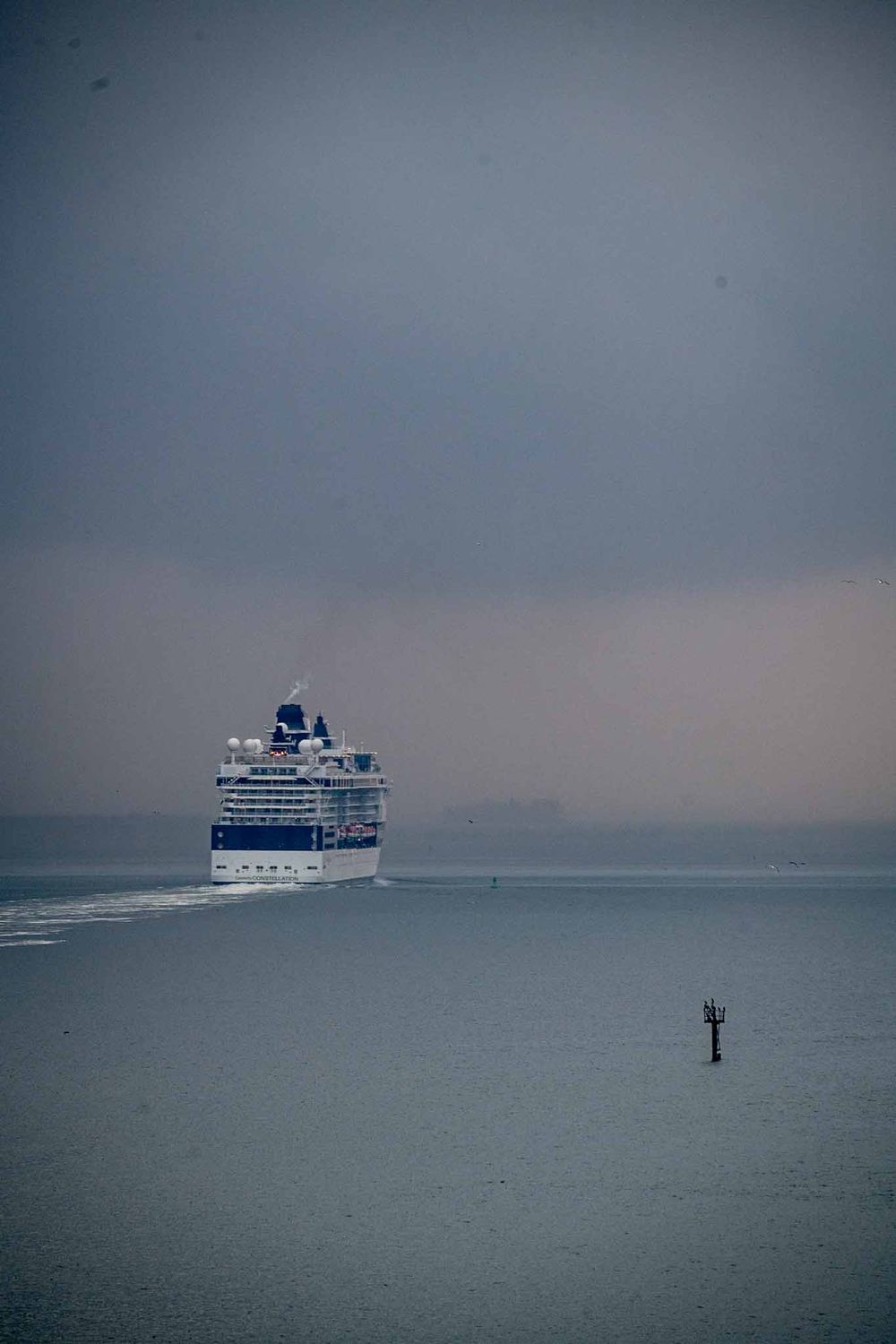 A large cruise ship sails across a misty gray ocean horizon with a navigation marker visible in the foreground.
