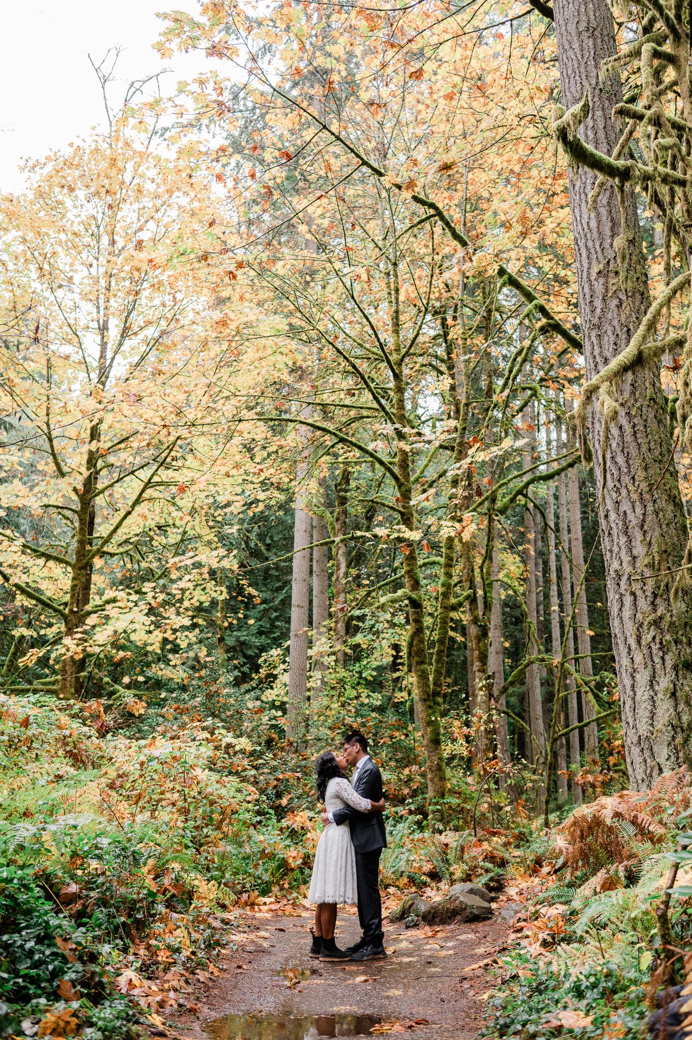A romantic autumn forest scene with tall trees and golden leaves along a winding dirt path with bride and groom kissing