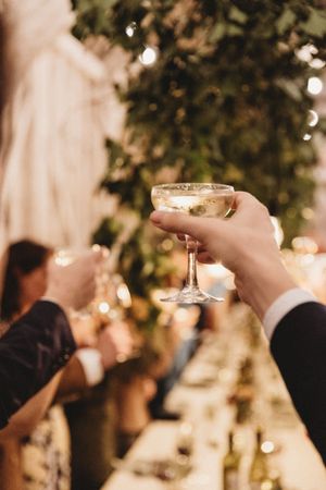 Cheers! a detail shot of a guest raising their glass at Henham Barns