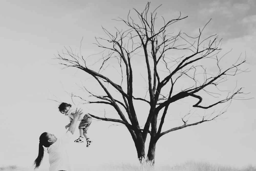 Artistic black and white silhouettes of people against winter trees creating dramatic shadows.