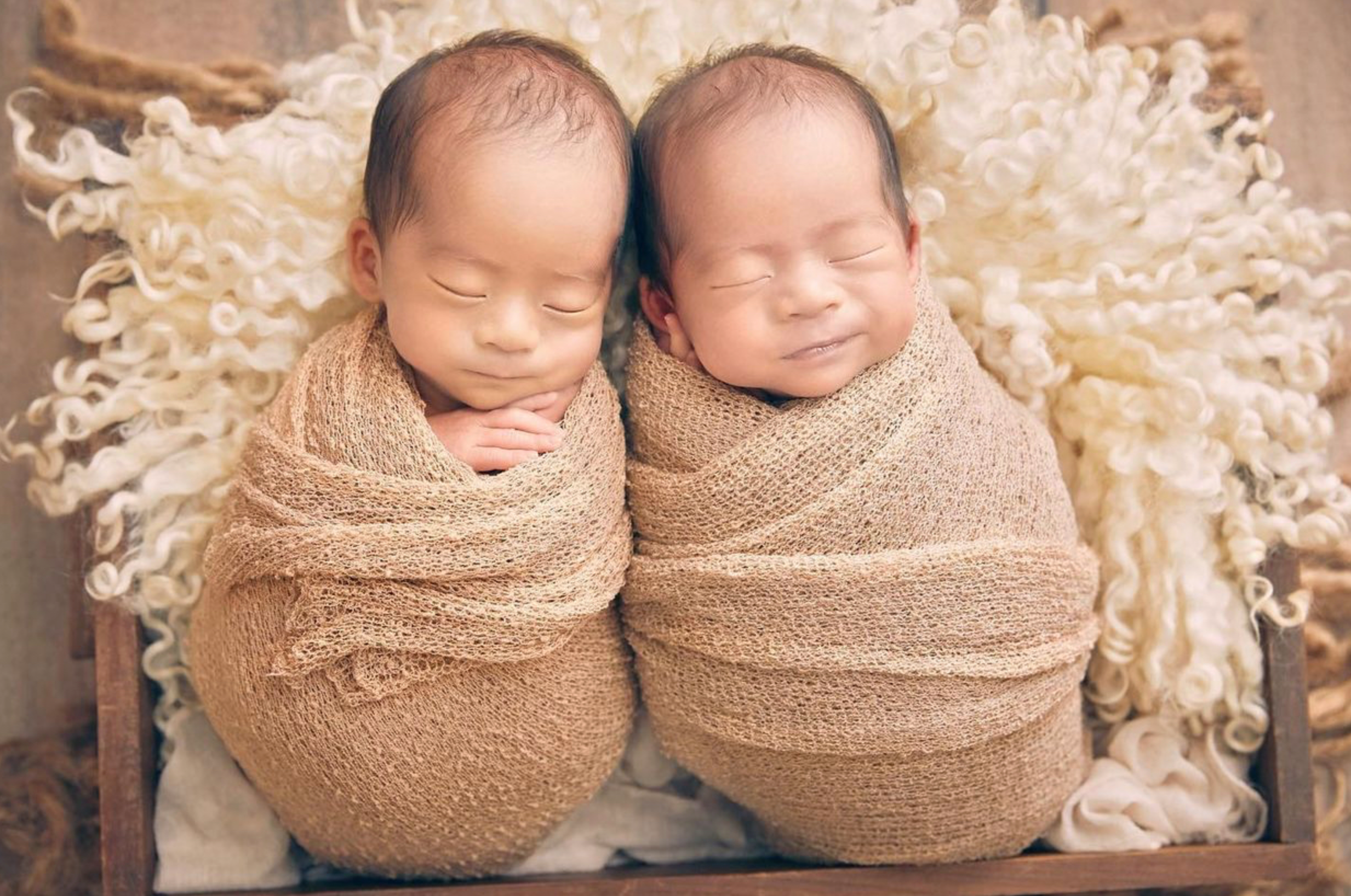 Twin newborns wrapped in tan swaddles sleeping side by side on cream textured backdrop.