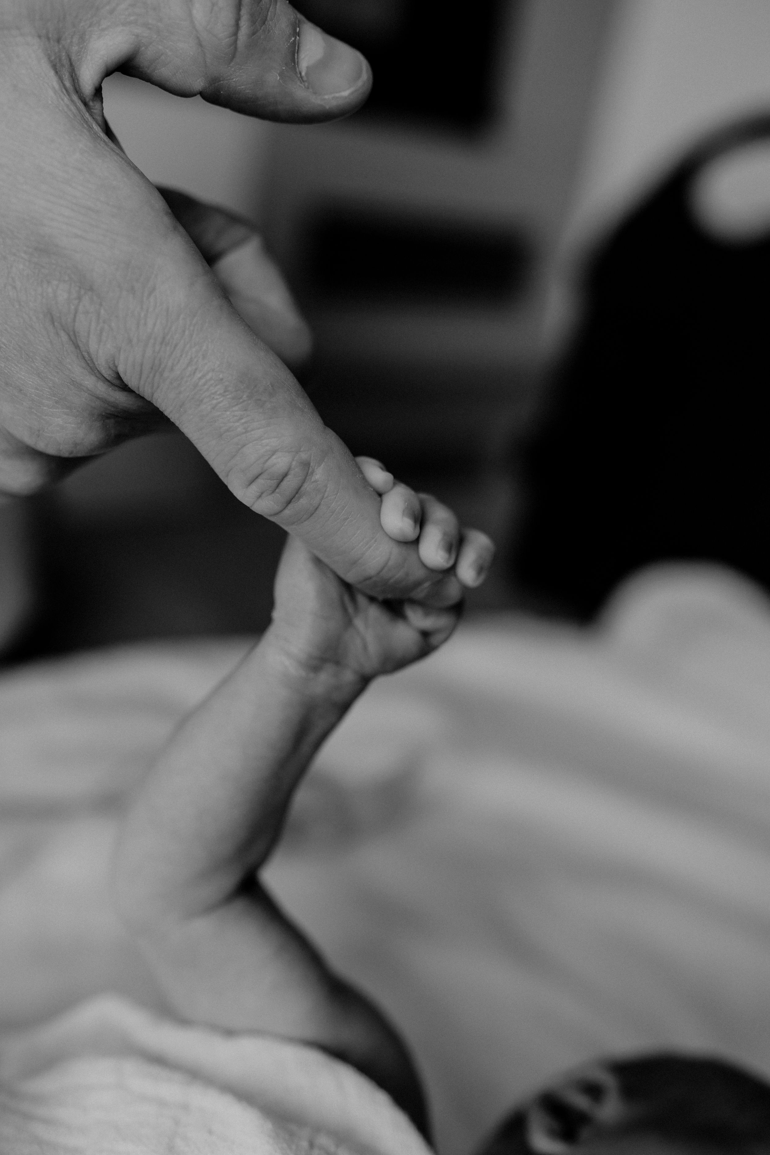 Black and white close-up shots of gentle hands holding tiny baby feet.
