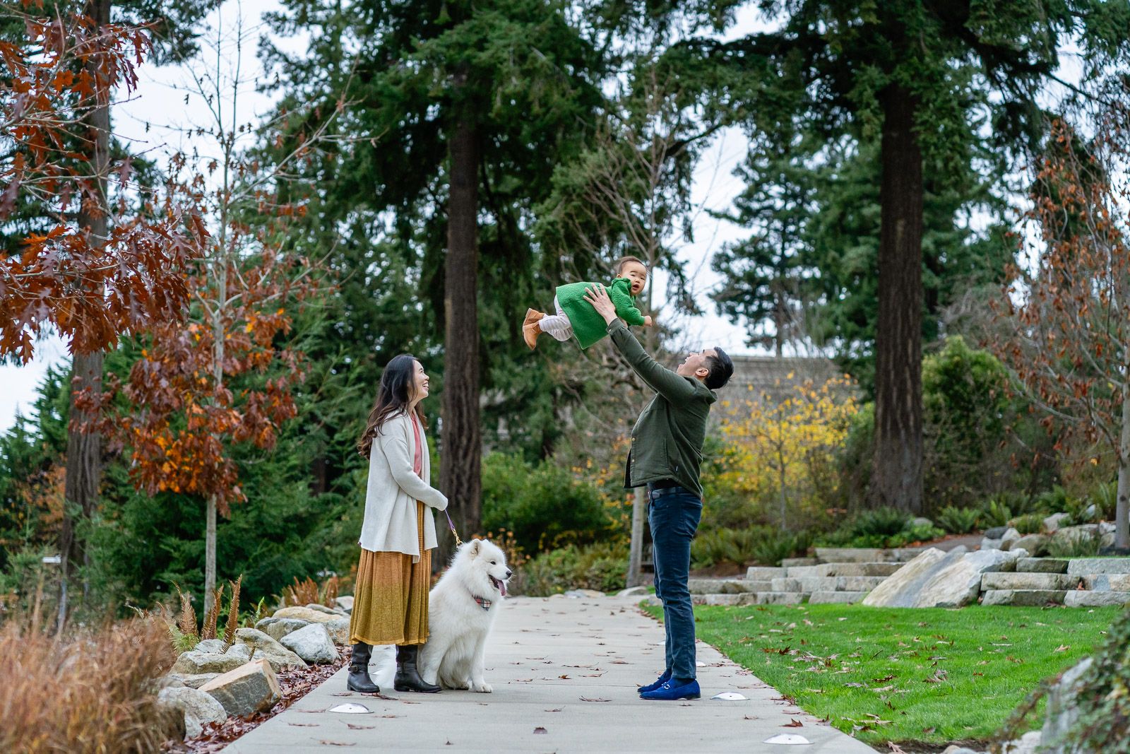 Mom and dog watching dad throw baby into the air.