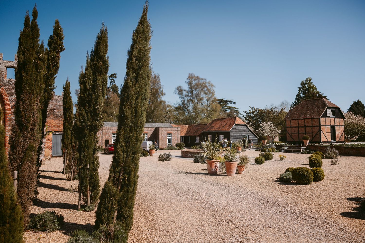 Panoramic view of tall cypress trees and desert landscaping in a sunny residential area.