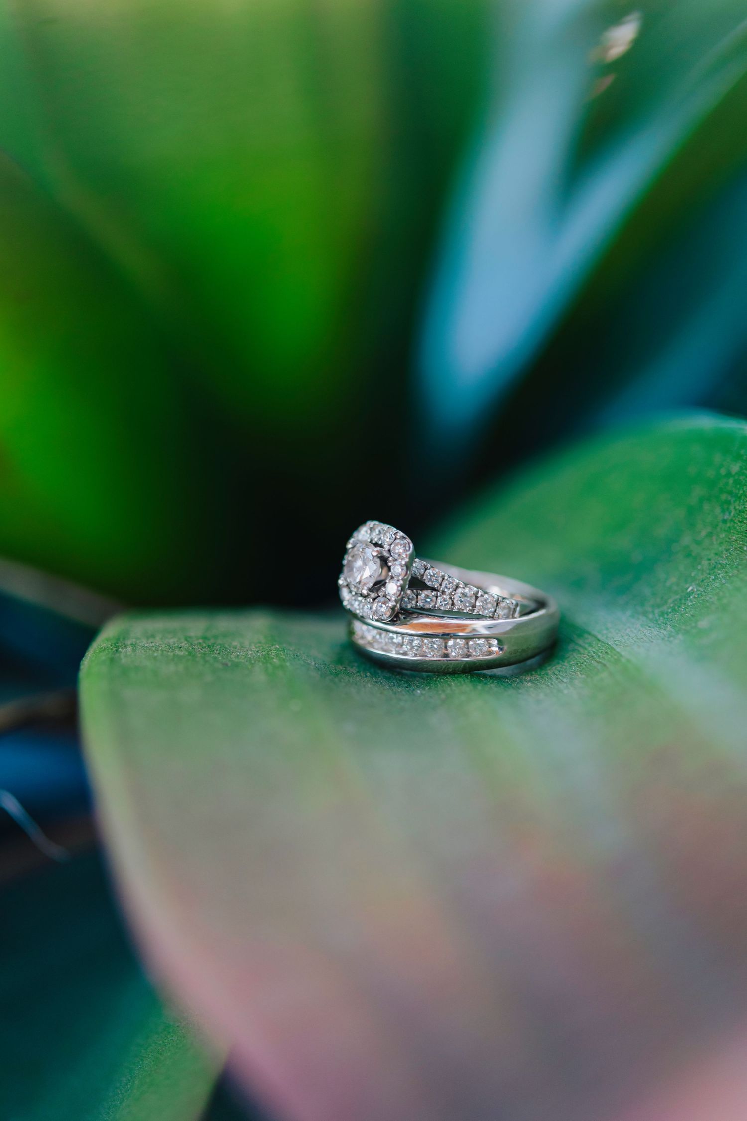Diamond engagement ring with delicate band rests on green leaf in soft natural lighting.