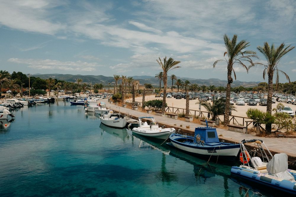 Marina with boats and palm trees along the coastline under blue skies.