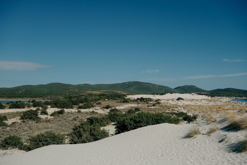 Panoramic view of rolling sand dunes and coastal vegetation under clear blue skies.