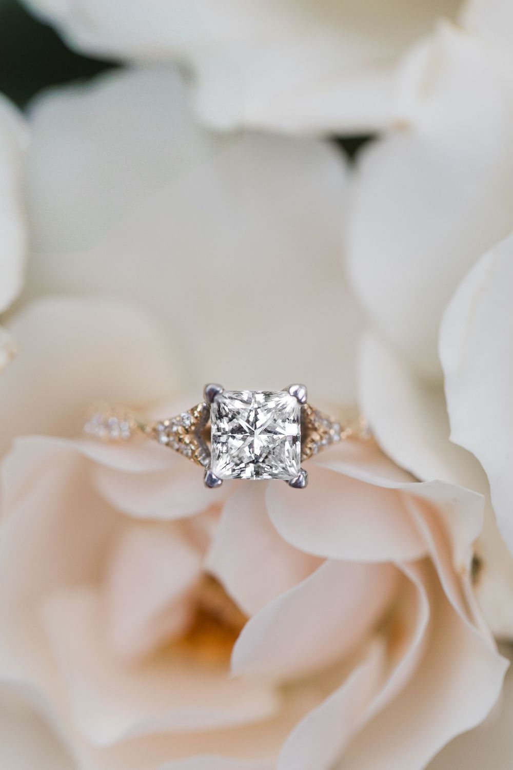 Close-up of a sparkling diamond engagement ring nestled in soft white rose petals.