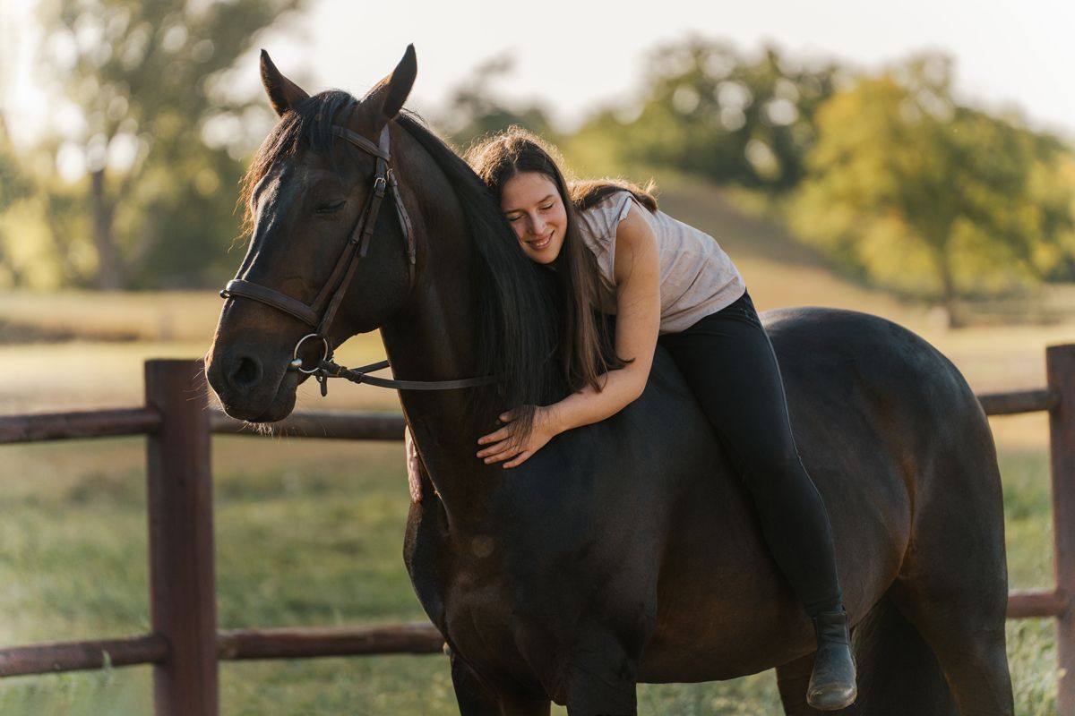 A rider and horse share a tender moment at sunset in a rustic fenced paddock area during a photoshoot in sydney