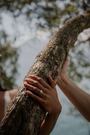 Multiple hands reach out to touch the rough bark of a tree trunk against a soft blurred background.