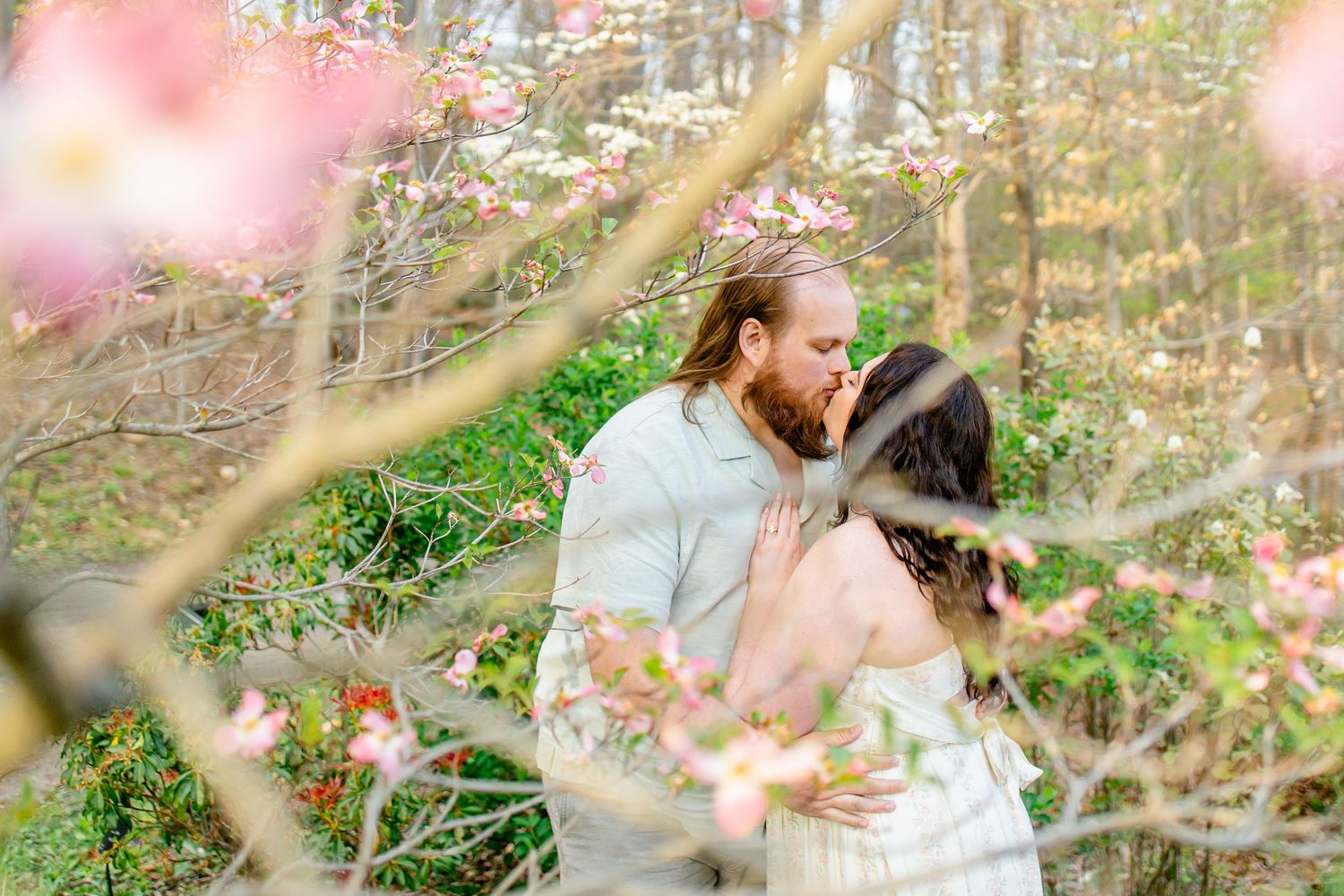 Couple kissing spring blossoms in a woodland setting during an outdoor engagement photo session. morgantown wv botanical gardens