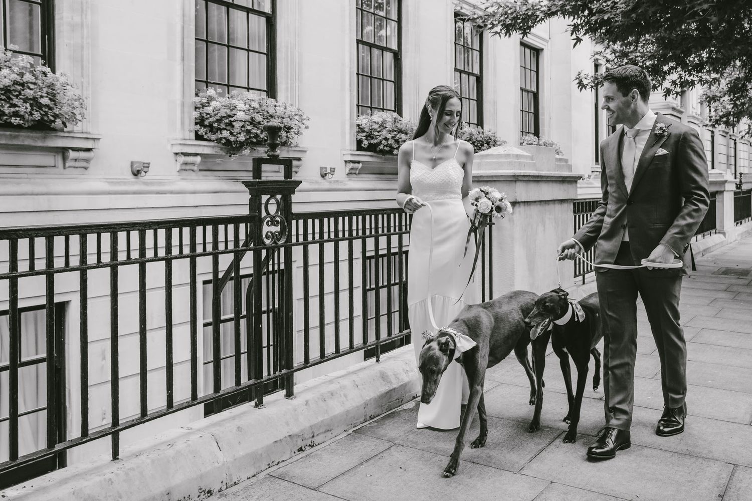 Bride and groom walk two greyhounds with yellow flowers, outside Bethnal Green Town Hall Hotel on their wedding day.