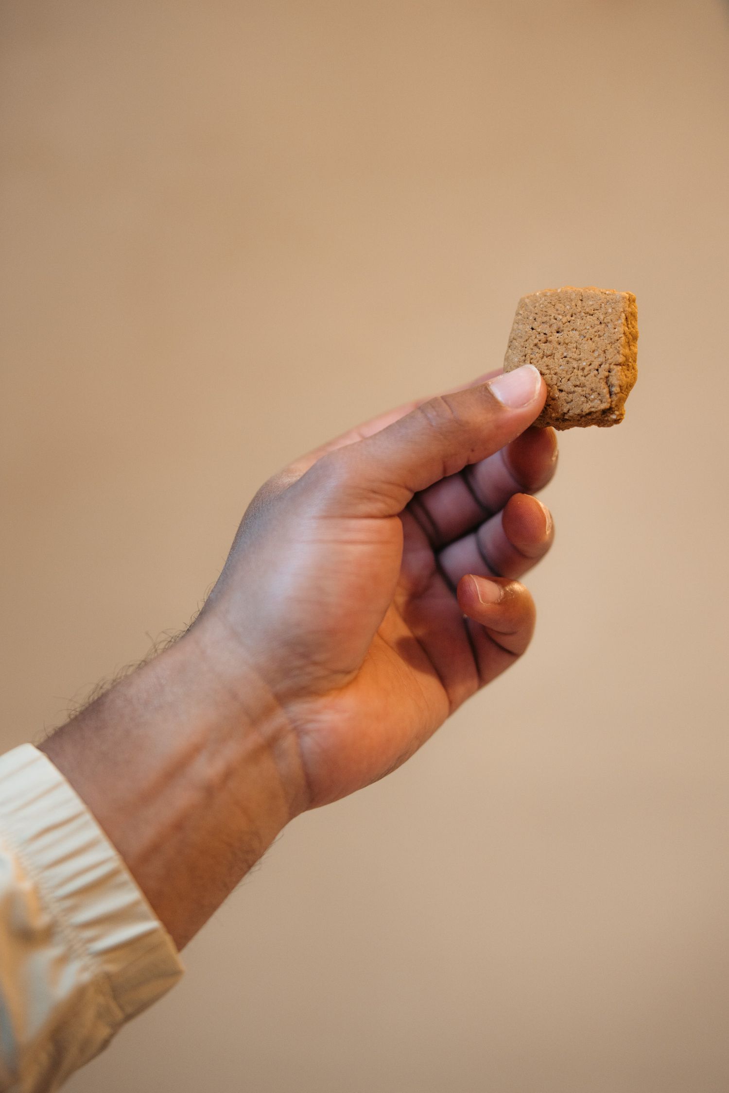 main avec un canistrelli corse