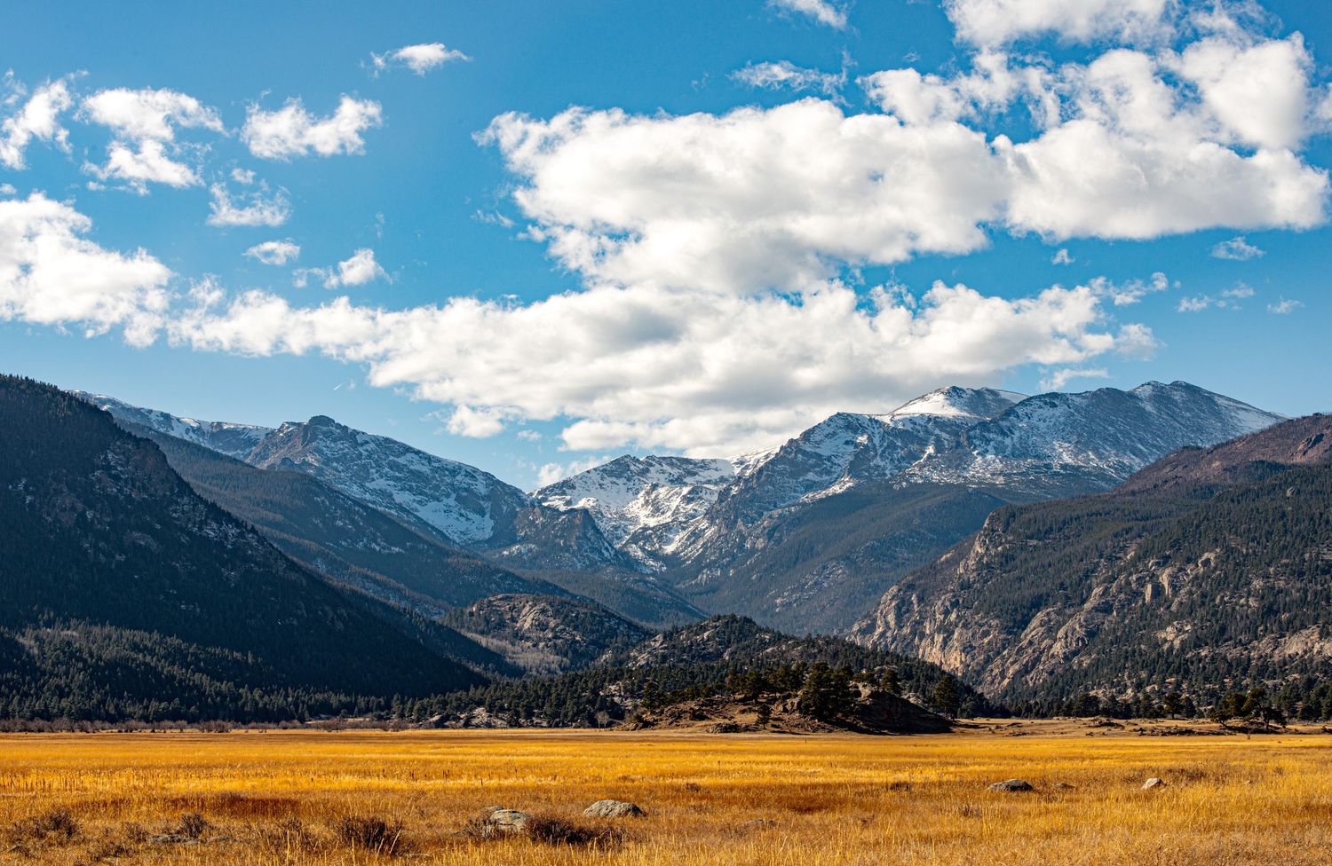 Scenic Rocky Mountain valley with golden meadow, snow-capped peaks, and dramatic blue sky with white clouds.