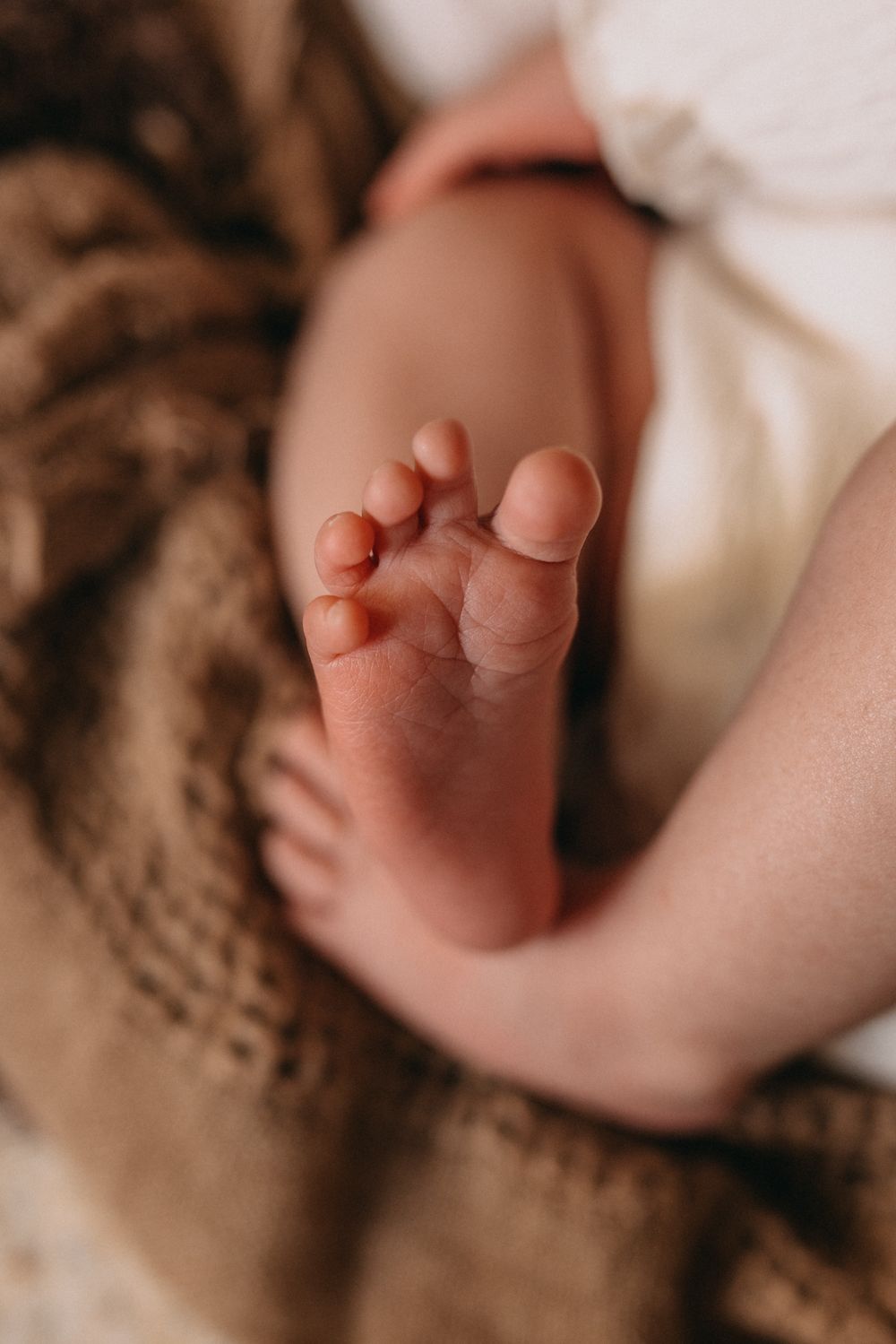 Close-up of tiny newborn baby feet resting on a soft brown textured blanket.