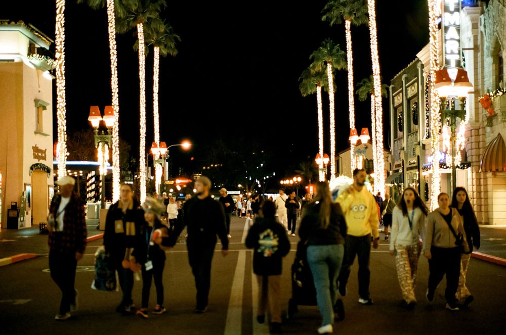 Visitors stroll down a palm tree-lined street at Disney World's Hollywood Studios at night.