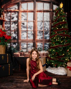 Cozy Christmas scene with decorated tree, poinsettias, and red velvet dress against a snowy window backdrop.