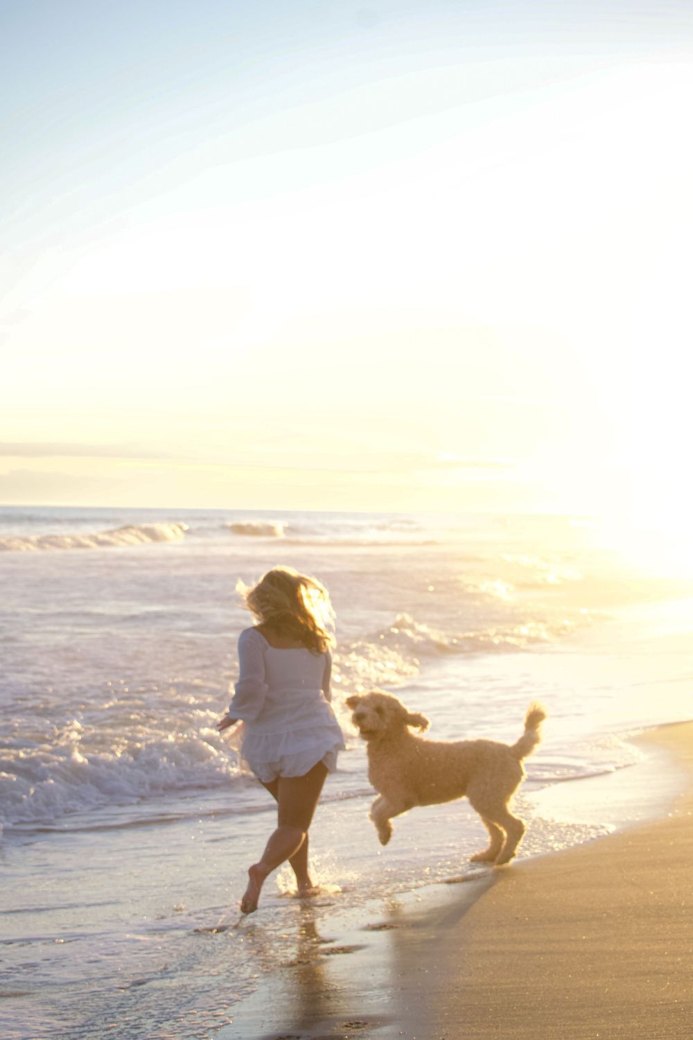 Silhouette of person and dog playing on beach at sunset with waves crashing.