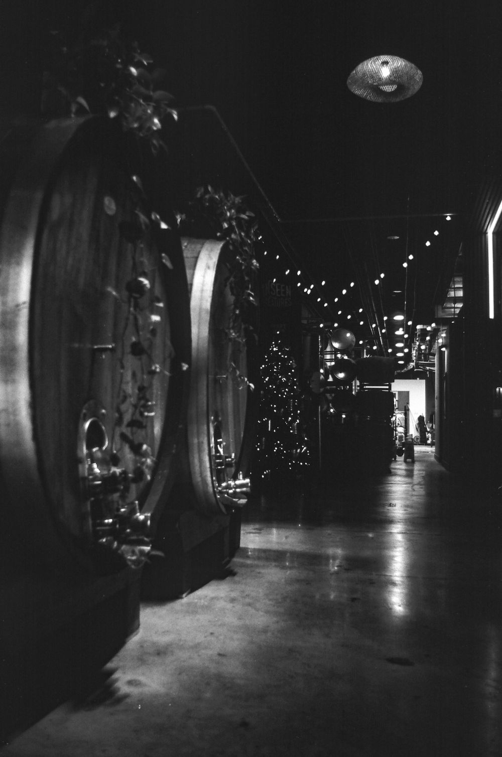 A dark hallway lined with wine barrels and twinkling lights overhead.