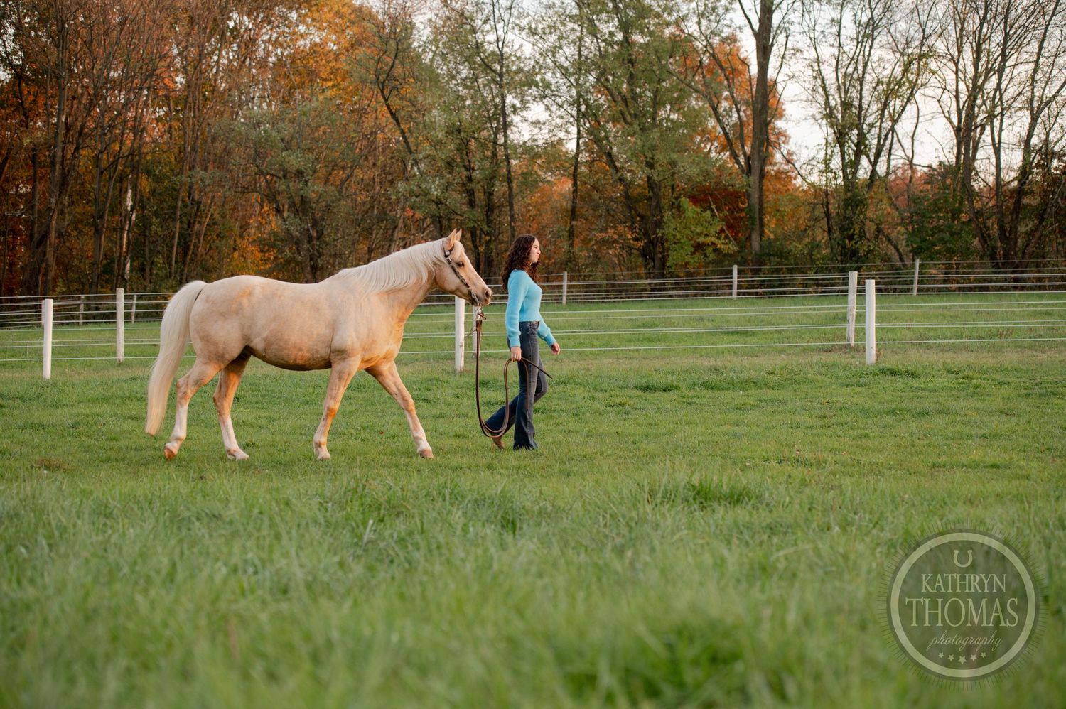 A person walks alongside a palomino horse in a fenced pasture during fall.
