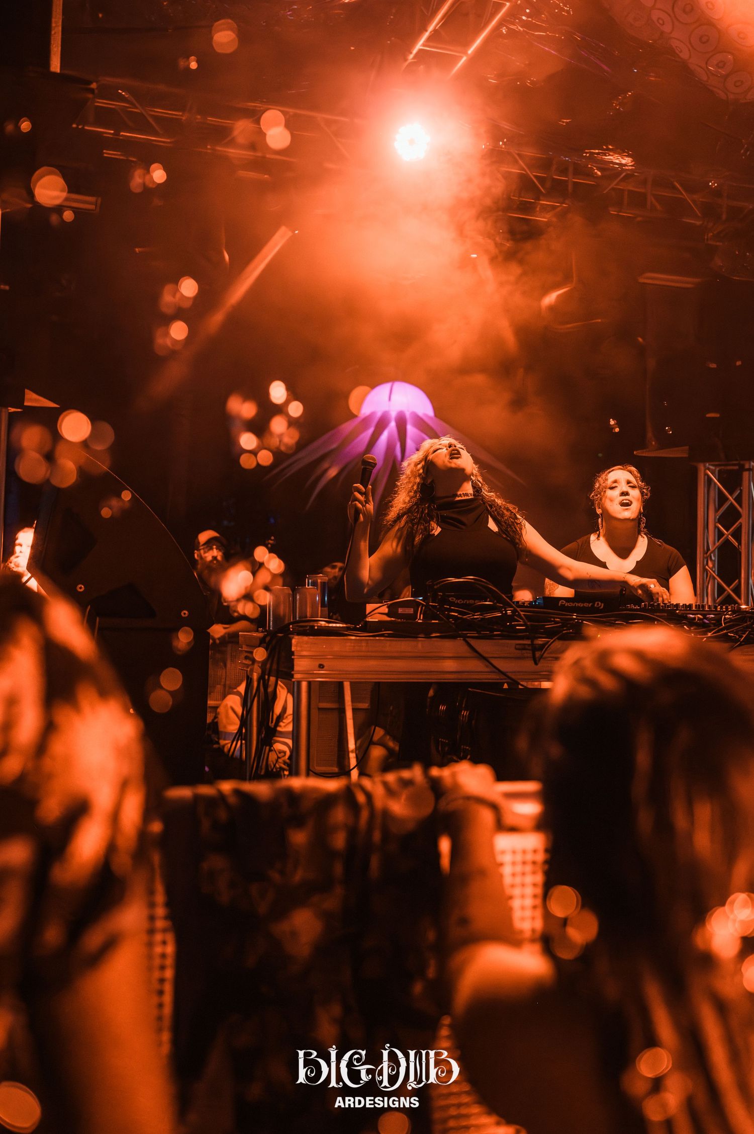 Music Festivals One Zen