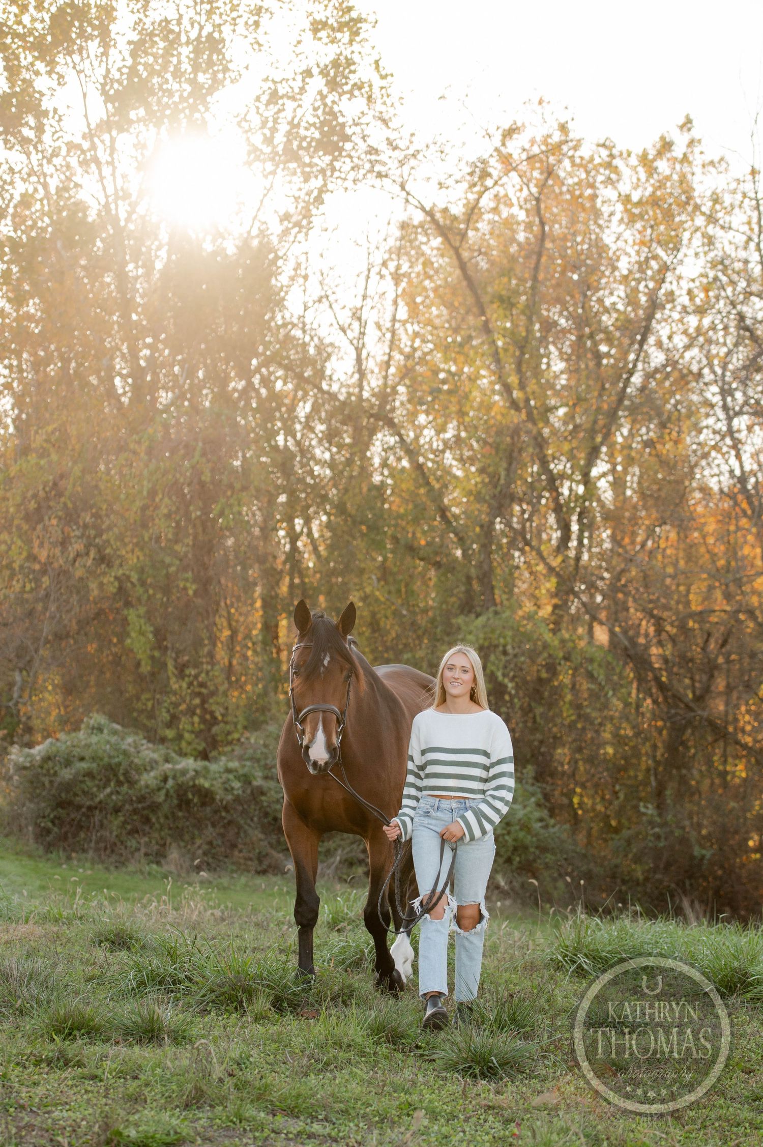 Sunlit autumn scene with horse and companion standing in golden field with fall trees.