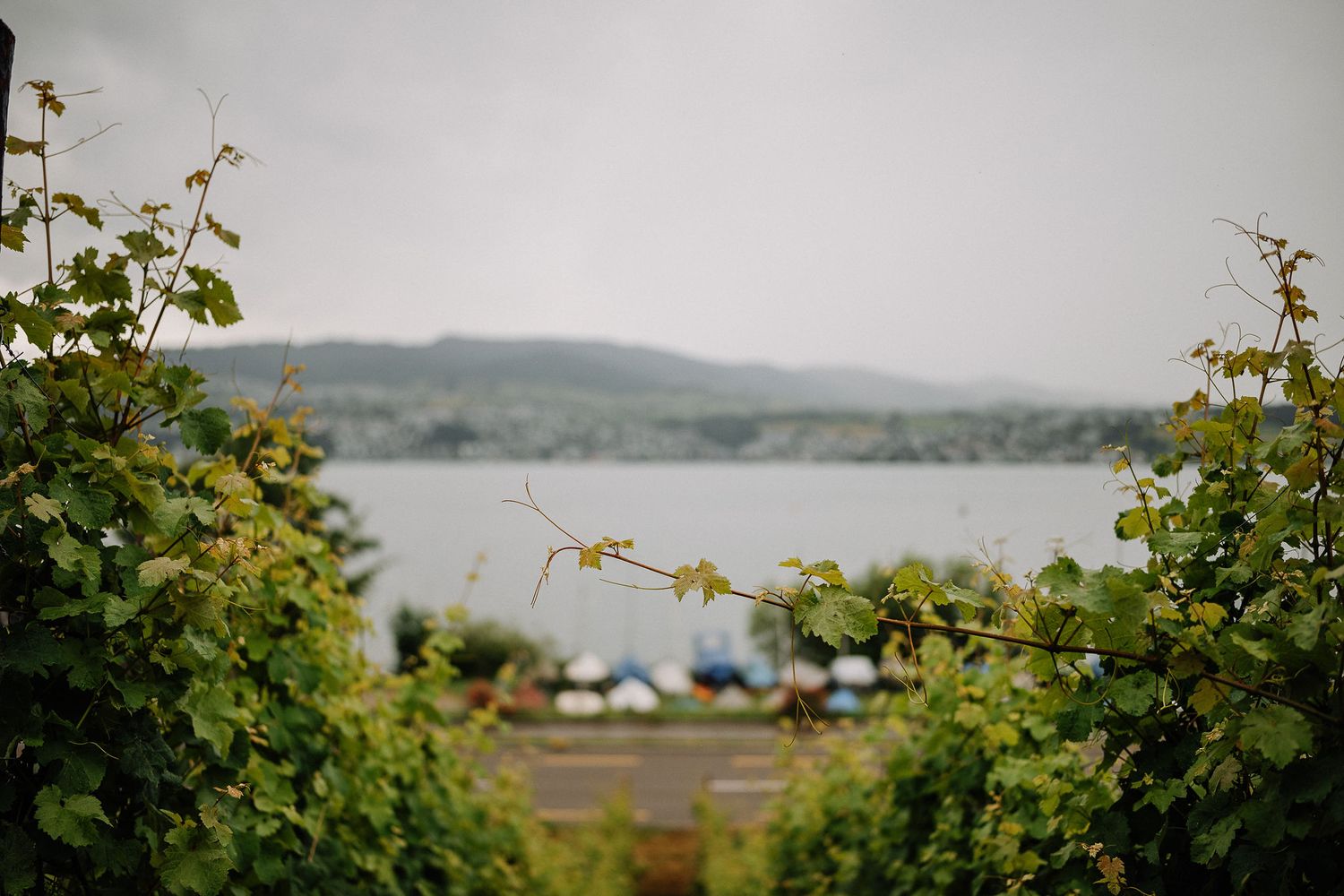 A scenic lakeside view framed by green foliage with camping tents visible in the distance.