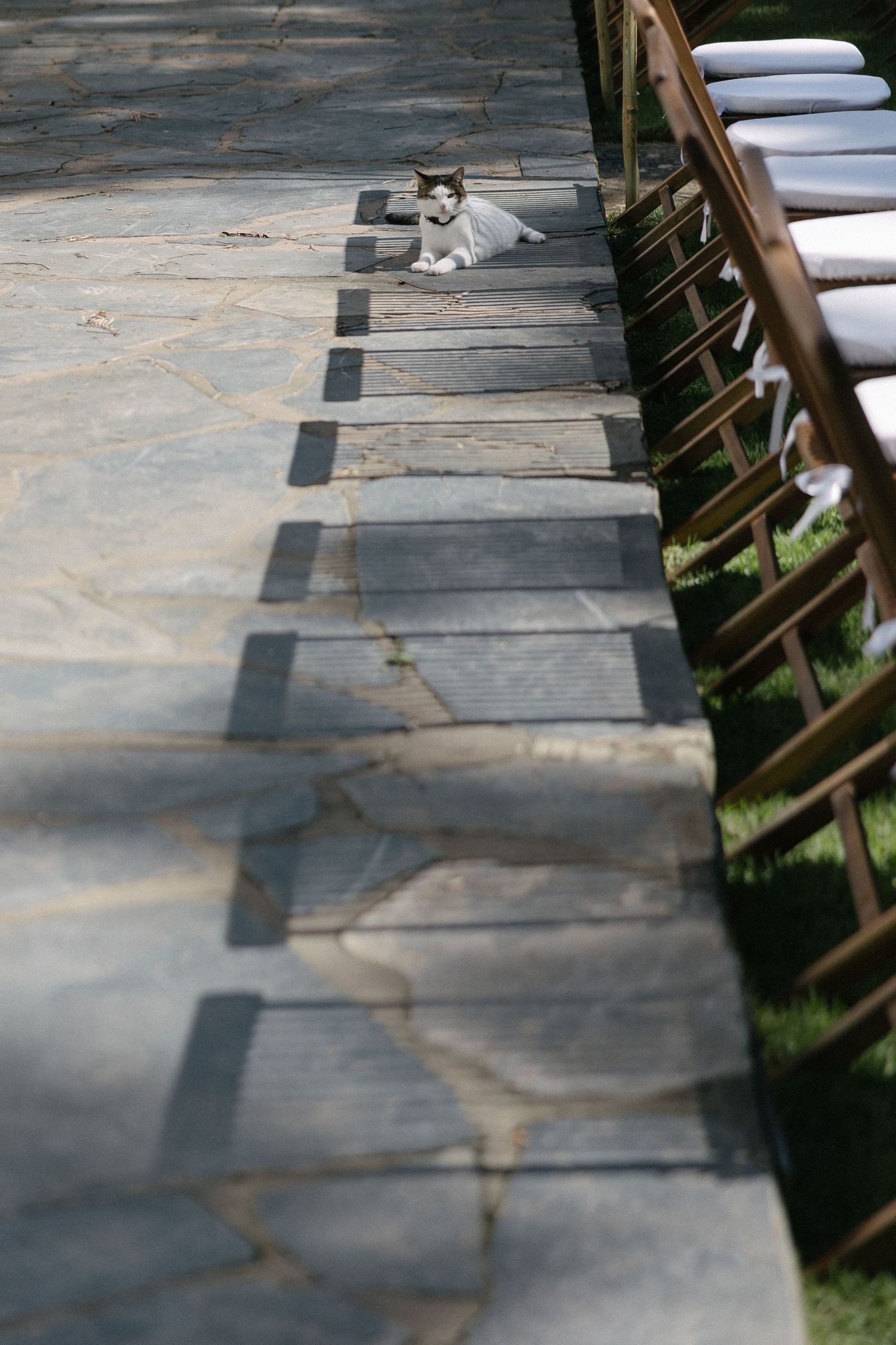 Wedding photographer Christene de Coning at Langskuur in Herbertsdale Mossel Bay. Perfect Hideaways. Beer Adriaanse. Carla Smith